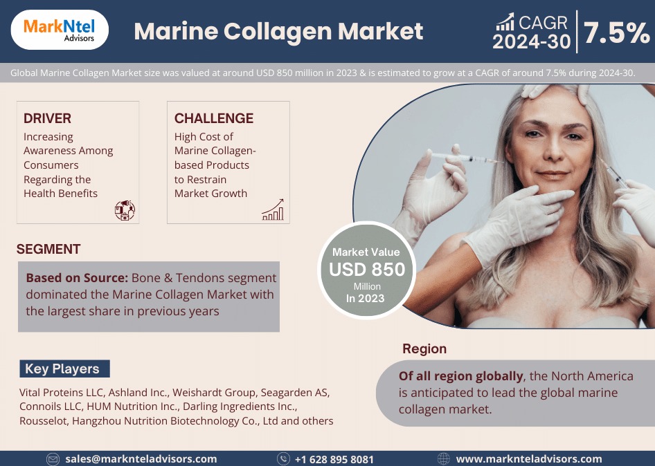 Marine Collagen Market Size, Revenue Analysis, Industry Outlook, Forecast to 2030