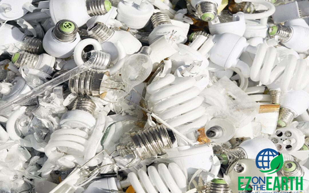 Bulb Recycling: A Guide to Sustainable Disposal and Recycling