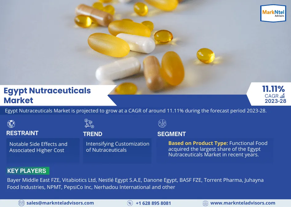 In-Depth Analysis of the Egypt Nutraceuticals Market: Trends and Forecasts for 2023-2028