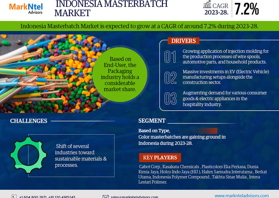 Indonesia Masterbatch Market Report: Size, Share, and Leading Companies Insights for 2028